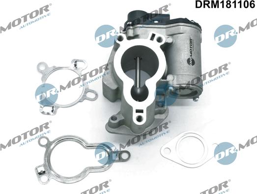 Dr.Motor Automotive DRM181106 - EGR Valf furqanavto.az