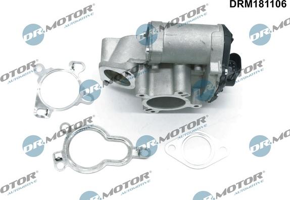 Dr.Motor Automotive DRM181106 - EGR Valf furqanavto.az