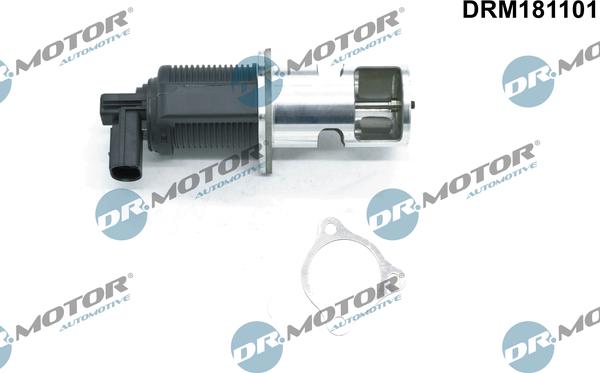 Dr.Motor Automotive DRM181101 - EGR Valf furqanavto.az