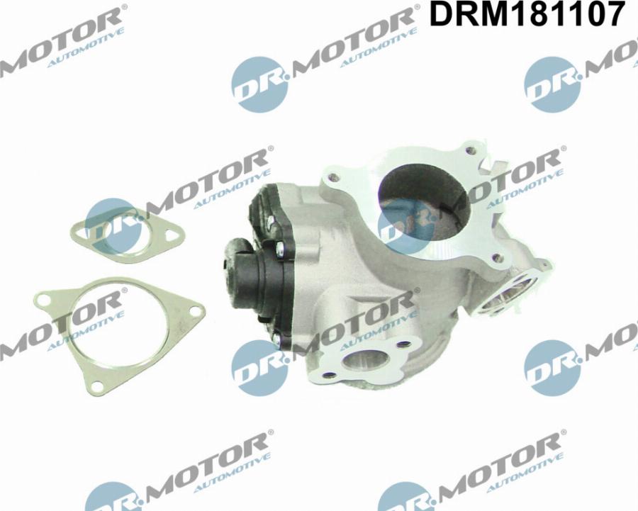 Dr.Motor Automotive DRM181107 - EGR Valf furqanavto.az