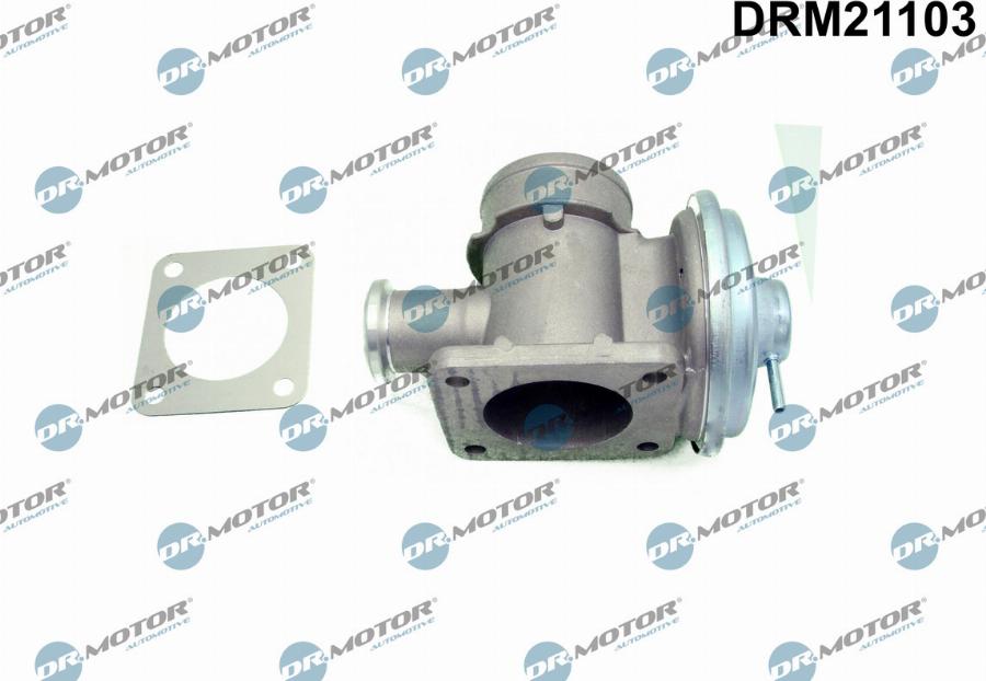 Dr.Motor Automotive DRM21103 - EGR Valf furqanavto.az