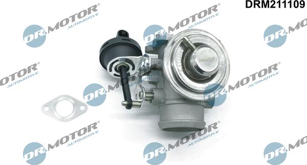 Dr.Motor Automotive DRM211109 - EGR Valf furqanavto.az