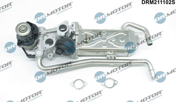 Dr.Motor Automotive DRM211102S - EGR Valf furqanavto.az