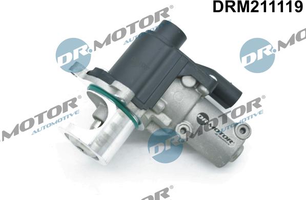 Dr.Motor Automotive DRM211119 - EGR Valf furqanavto.az