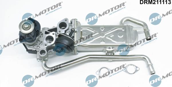 Dr.Motor Automotive DRM211113 - EGR Valf furqanavto.az