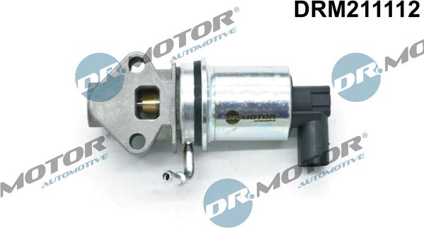 Dr.Motor Automotive DRM211112 - EGR Valf furqanavto.az