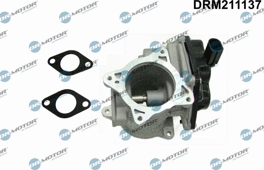 Dr.Motor Automotive DRM211137 - EGR Valf furqanavto.az