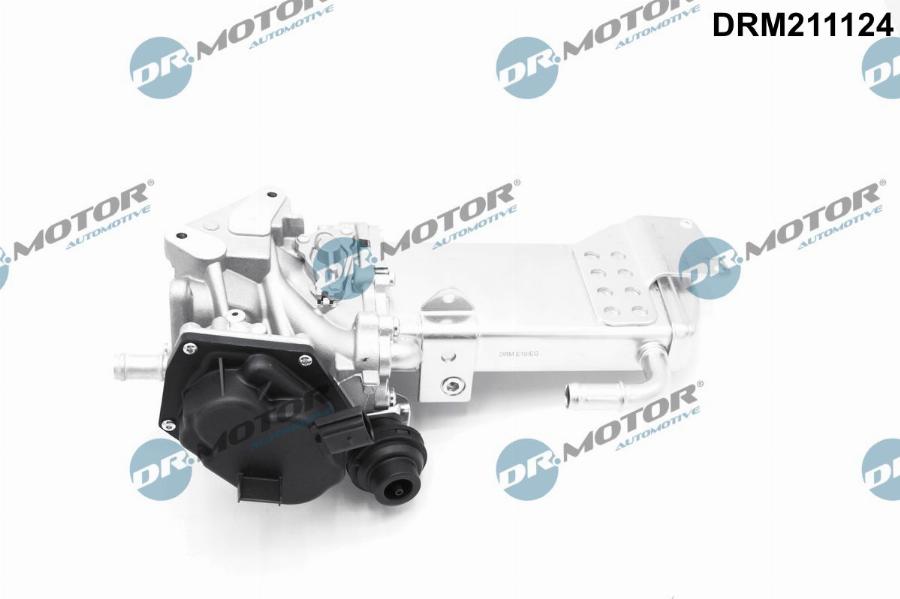 Dr.Motor Automotive DRM211124 - EGR Valf furqanavto.az