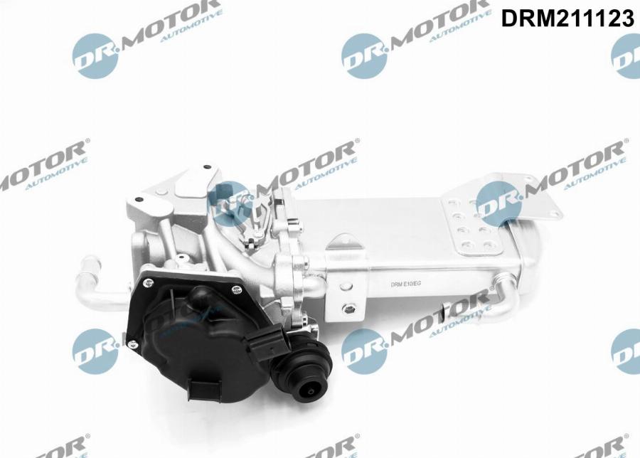 Dr.Motor Automotive DRM211123 - EGR Valf furqanavto.az