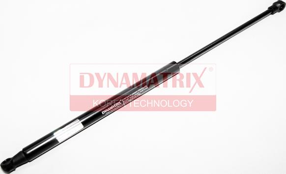 Dynamatrix DGS501695 - Qazlı bulaq, baqaj, yük yeri furqanavto.az