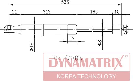 Dynamatrix DGS100029 - Qazlı bulaq, baqaj, yük yeri furqanavto.az