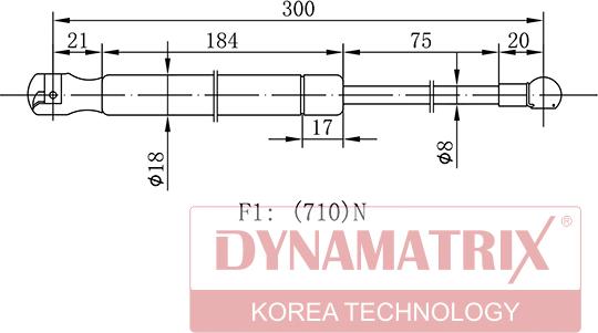 Dynamatrix DGS138654 - Qazlı bulaq, baqaj, yük yeri furqanavto.az