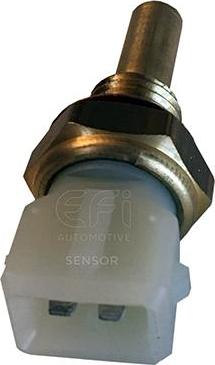 EFI 295002 - Sensor, soyuducu suyun temperaturu furqanavto.az