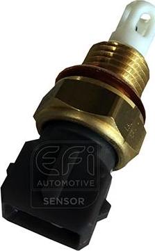 EFI 295039 - Sensor, giriş havasının temperaturu furqanavto.az