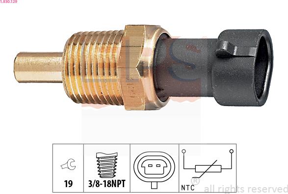 EPS 1.830.129 - Sensor, yağın temperaturu furqanavto.az