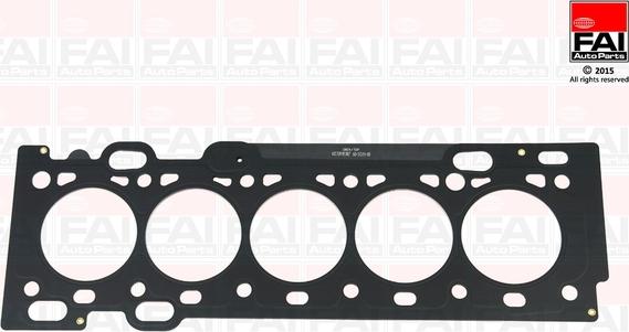 FAI AutoParts HG1491 - Conta, silindr başlığı furqanavto.az