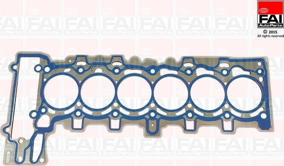 FAI AutoParts HG1731 - Conta, silindr başlığı furqanavto.az