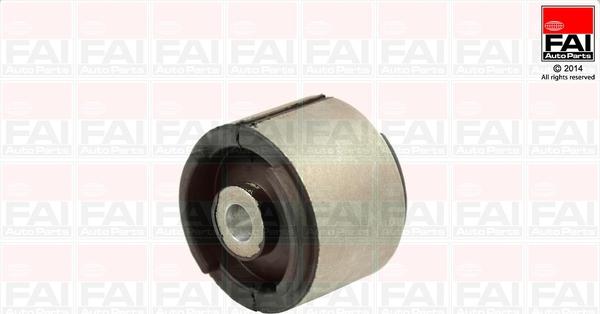 FAI AutoParts SS4342 - Nəzarət Kolu / Arxa Qol furqanavto.az