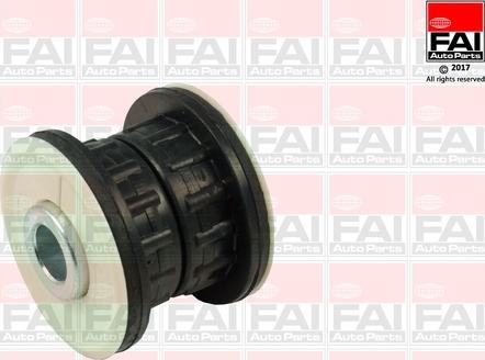 FAI AutoParts SS5794 - Nəzarət Kolu / Arxa Qol furqanavto.az