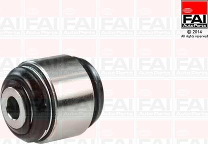 FAI AutoParts SS009 - Nəzarət Kolu / Arxa Qol furqanavto.az