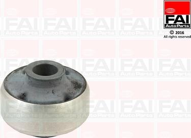 FAI AutoParts SS019 - Nəzarət Kolu / Arxa Qol furqanavto.az