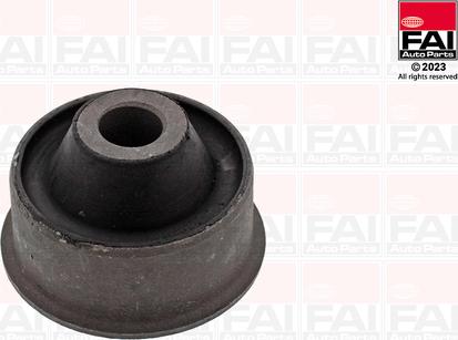 FAI AutoParts SS014 - Nəzarət Kolu / Arxa Qol furqanavto.az