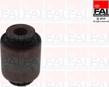 FAI AutoParts SS10310 - Nəzarət Kolu / Arxa Qol furqanavto.az