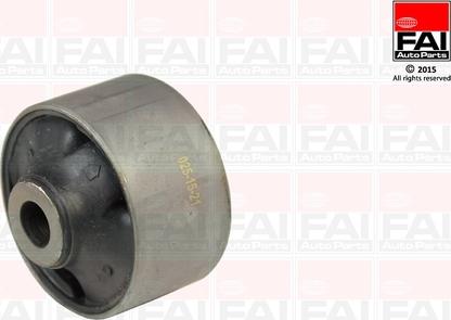 FAI AutoParts SS8012 - Nəzarət Kolu / Arxa Qol furqanavto.az