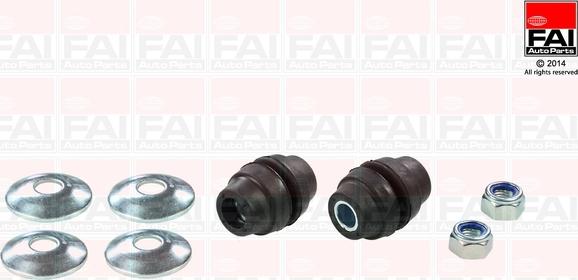 FAI AutoParts SS294 - Nəzarət Kolu / Arxa Qol furqanavto.az