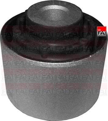 FAI AutoParts SS7177 - Nəzarət Kolu / Arxa Qol furqanavto.az