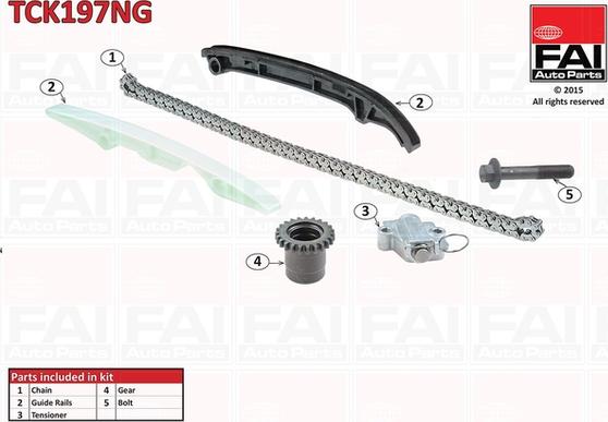 FAI AutoParts TCK197NG - Vaxt zəncirinin dəsti furqanavto.az