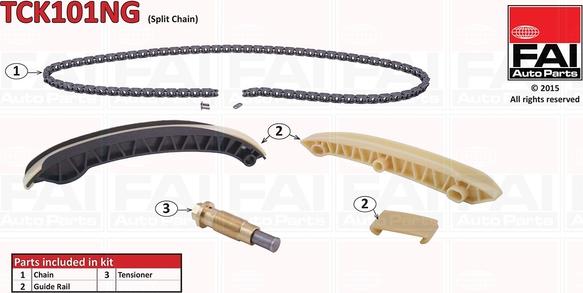 FAI AutoParts TCK101NG - Vaxt zəncirinin dəsti furqanavto.az