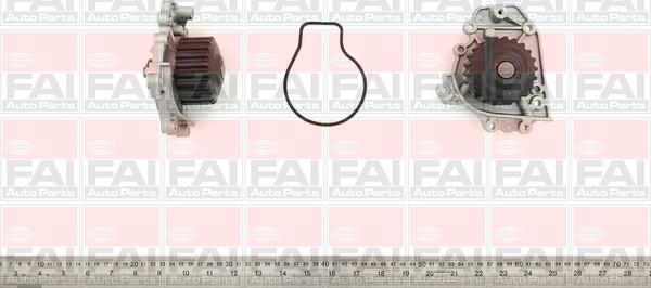 FAI AutoParts WP6193 - Su nasosu furqanavto.az