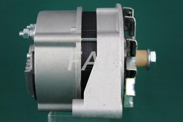 FAL F006396/1 - Alternator furqanavto.az