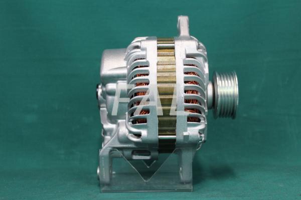 FAL F001156/1 - Alternator furqanavto.az