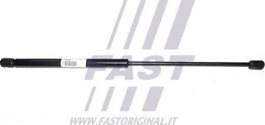Fast FT94833 - Qazlı bulaq, baqaj, yük yeri furqanavto.az