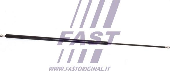 Fast FT94837 - Qazlı bulaq, baqaj, yük yeri furqanavto.az