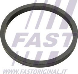 Fast FT49924 - Möhür, yağ soyuducu furqanavto.az
