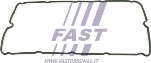 Fast FT49011 - Conta, silindr baş örtüyü furqanavto.az