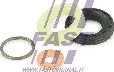 Fast FT49842 - Mühür dəsti, injektor ucluğu furqanavto.az