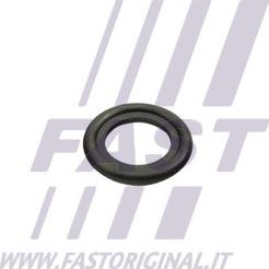 Fast FT49860 - Mühür halqası, yağ boşaltma tapası furqanavto.az