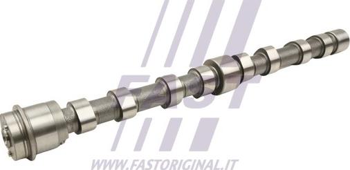 Fast FT45005 - Eksantrik mili furqanavto.az