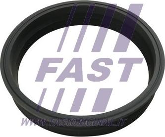Fast FT48501 - Möhür, yanacaq göndərici qurğu www.furqanavto.az