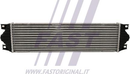 Fast FT55595 - Intercooler, şarj cihazı furqanavto.az