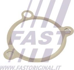 Fast FT50605 - Möhür, EGR klapan furqanavto.az