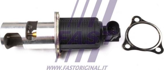 Fast FT60210 - EGR Valf furqanavto.az