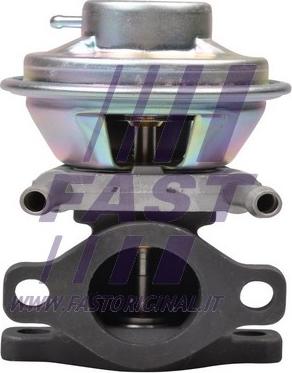 Fast FT60230 - EGR Valf furqanavto.az