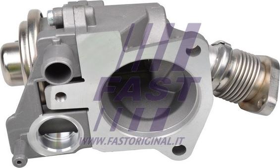 Fast FT60229 - EGR Valf furqanavto.az