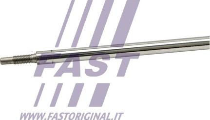 Fast FT11175 - Amortizator furqanavto.az