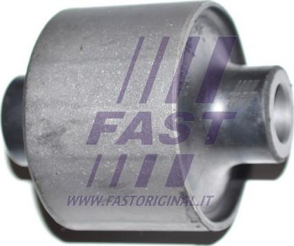 Fast FT18508 - Nəzarət Kolu / Arxa Qol furqanavto.az
